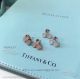 AAA Clone Tiffany 925 Silver Paper Flowers Diamond Rose Gold Earrings (3)_th.jpg